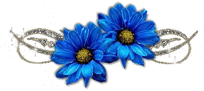 Niebieskie błyszczące gerbery